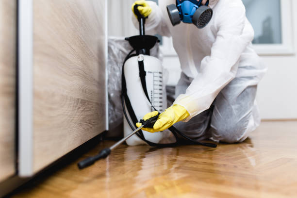 Best Flea Control Services  in Meridian, PA