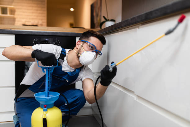 Best Flea Control Services  in Meridian, PA