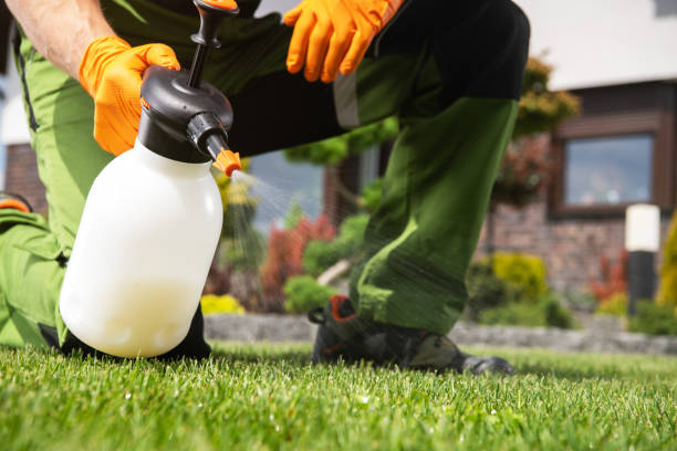 Best Local Pest Control Services  in Meridian, PA