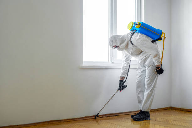 Best Rat Extermination Near Me  in Meridian, PA
