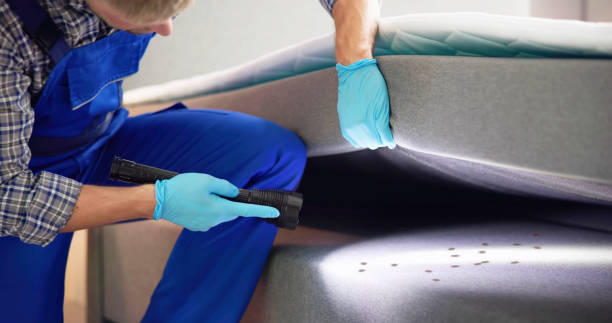 Best Pest Control for Businesses  in Meridian, PA
