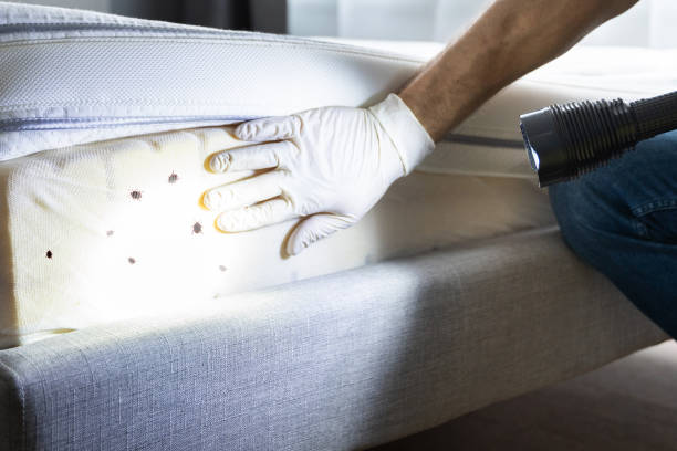 Best Pest Control Near Me  in Meridian, PA