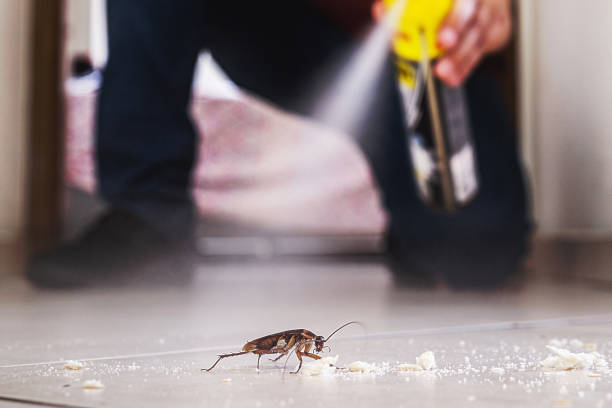 Best Best Pest Control Near Me  in Meridian, PA