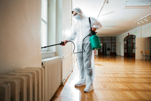 Best Flea Control Services  in Meridian, PA