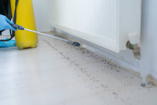 Best Residential Pest Control  in Meridian, PA