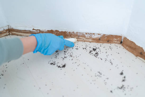 Best Pest Control Near Me in Meridian, PA