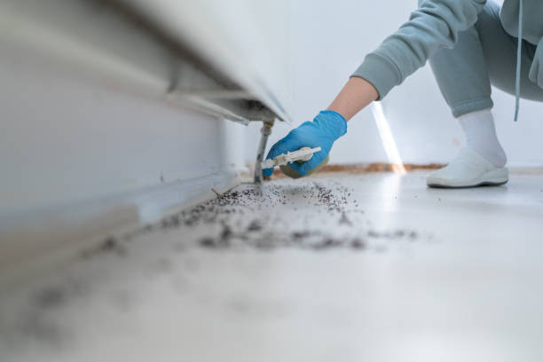 Best Emergency Pest Control  in Meridian, PA