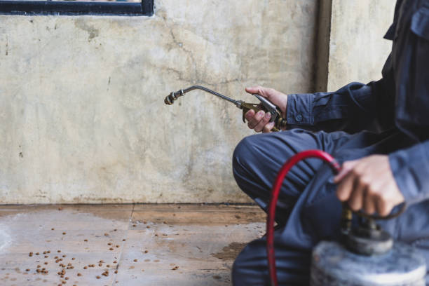 Best Exterminator Services  in Meridian, PA